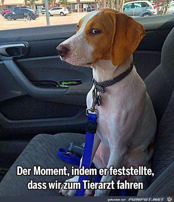 der Moment