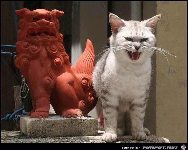 Imitation Imitation