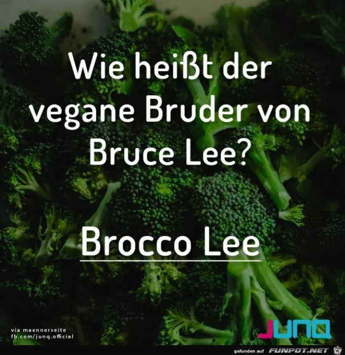 bruce lee bruce lee