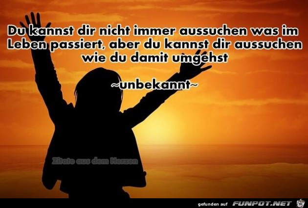 aussuchen aussuchen