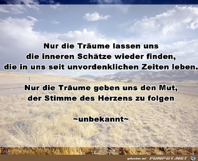 nur die traeume