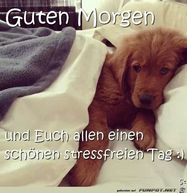 guten morgen guten morgen