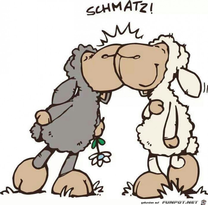 schmatz