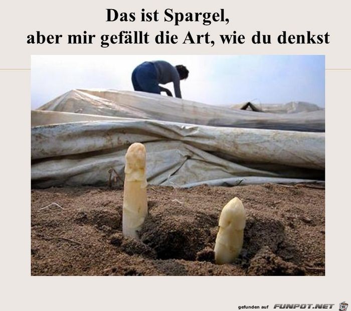 Spargel Spargel