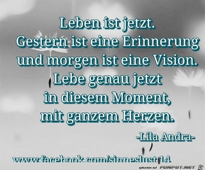 leben ist jetzt leben ist jetzt