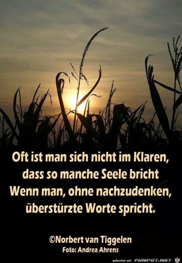 9 schne Sprche und Lebensweisheiten aus...