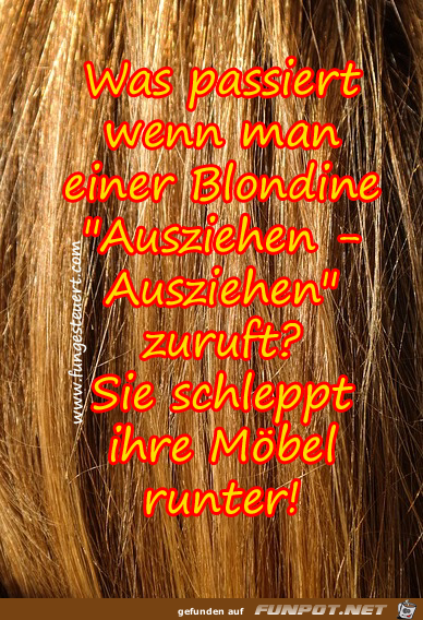 man darf einer blondine nie das falsche sagen blondinenwitz 