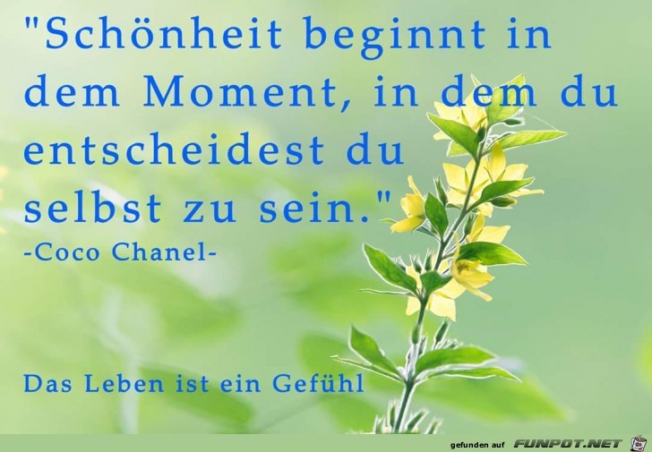 schoenheit beginnt schoenheit beginnt