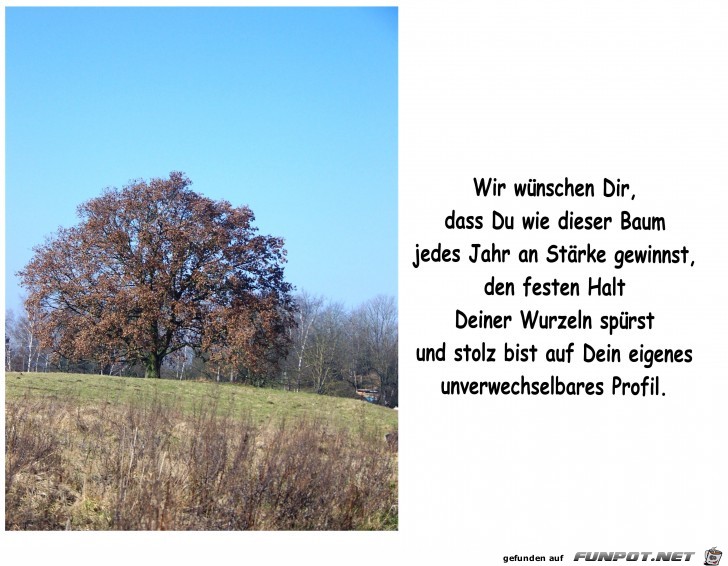 Baum Herbst 