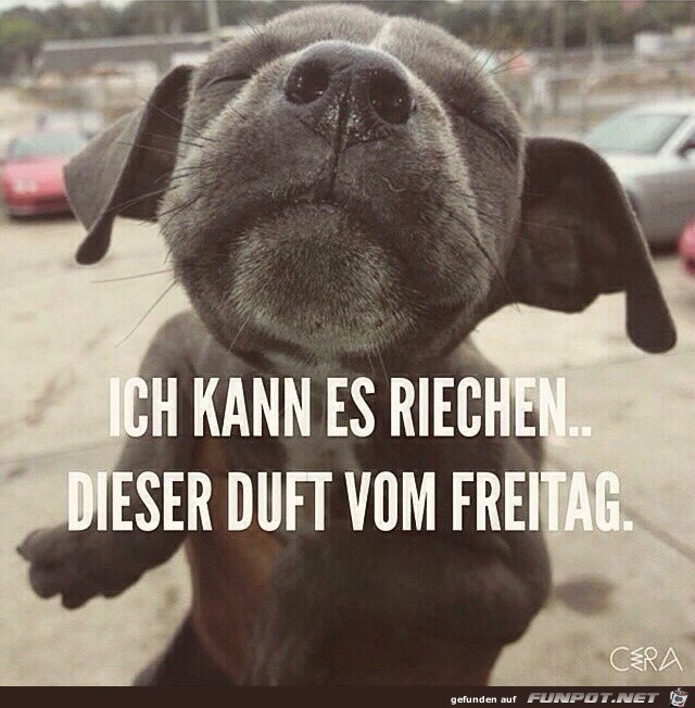 Freitag