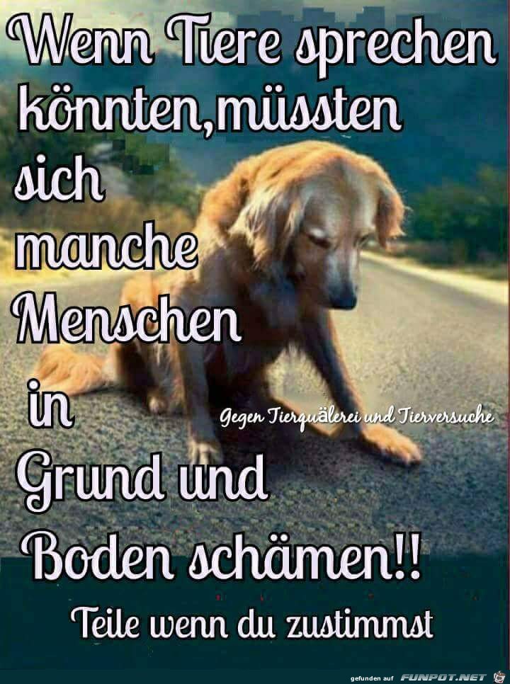 wenn tiere sprechen koennten wenn tiere sprechen koennten
