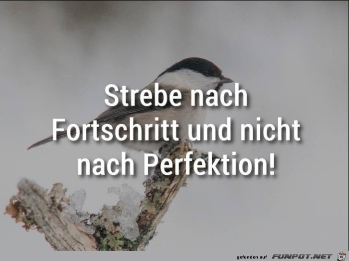 Strebe nach Fortschritt