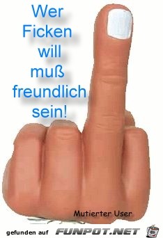 ein paar witzige Bilder