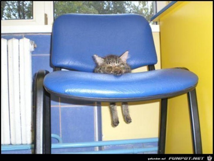 Sleeping- Sleeping-