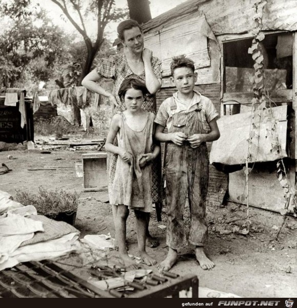 Image 19 Image 19