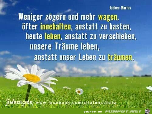 weniger zögern und mehr wagen... weniger zögern und mehr wagen...