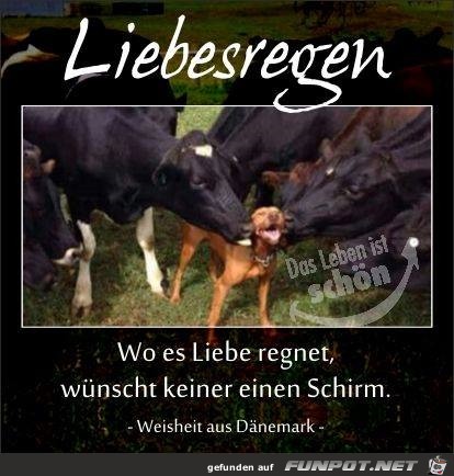 Liebesregen