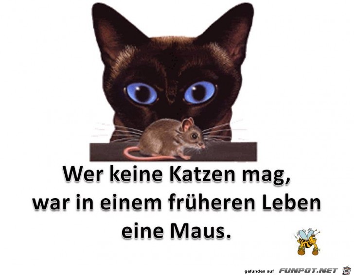 Katz und Maus