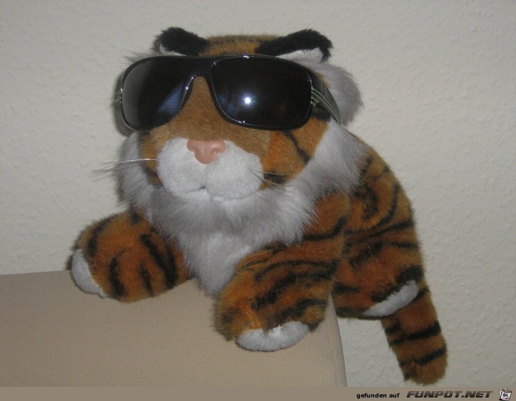Tiger cool Tiger cool