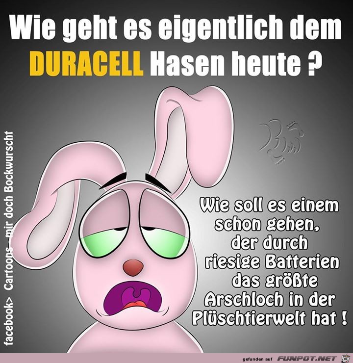 Duracell Duracell