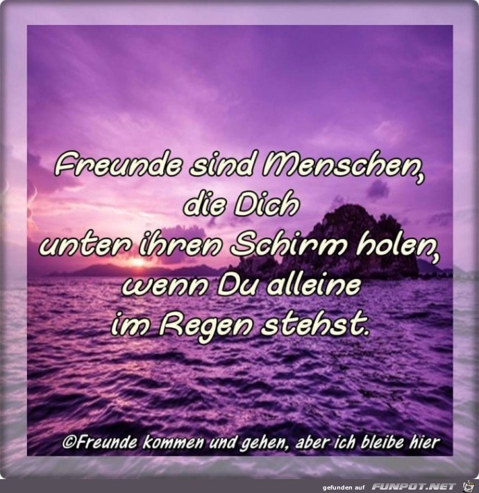 Schirm Schirm