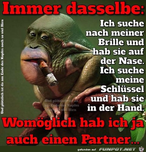 Immer das selbe Immer das selbe