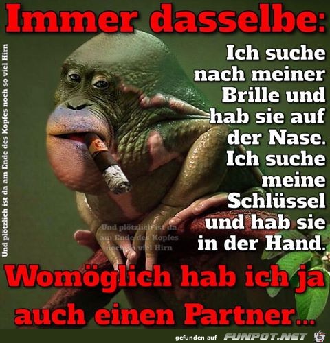 Immer das selbe