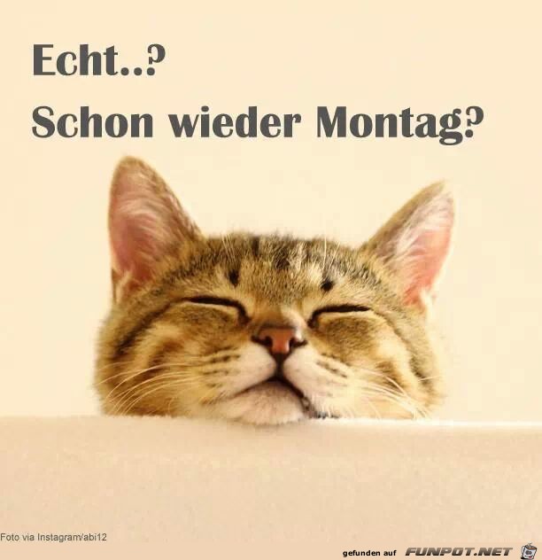 Echt...? Schon wieder Montag Echt...? Schon wieder Montag