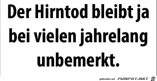 der-hirntod der-hirntod