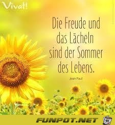 sommer des lebens