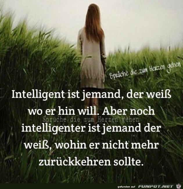 Intelligent