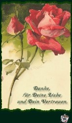 Danke 4 Danke 4