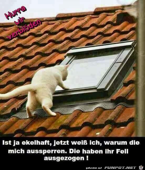 ekelhaft ekelhaft