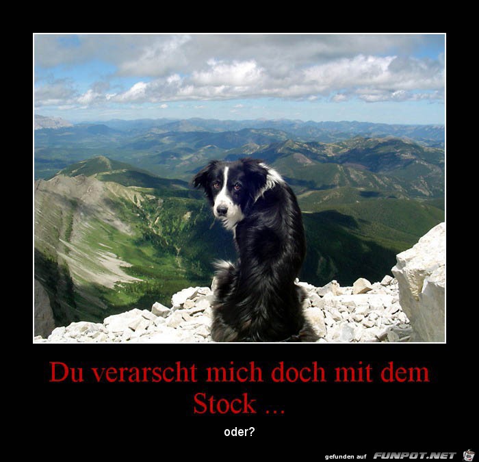 Hol den Stock