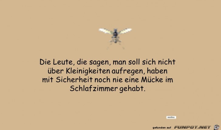 die Leute die sagen die Leute die sagen