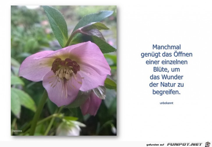 manchmal gengt