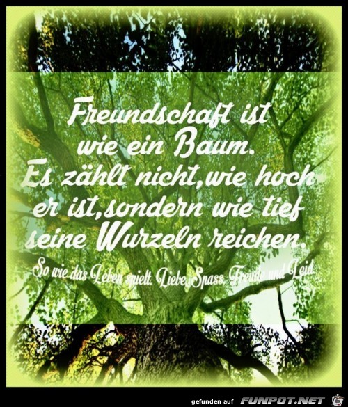 Freundschaft ist wie ein Baum