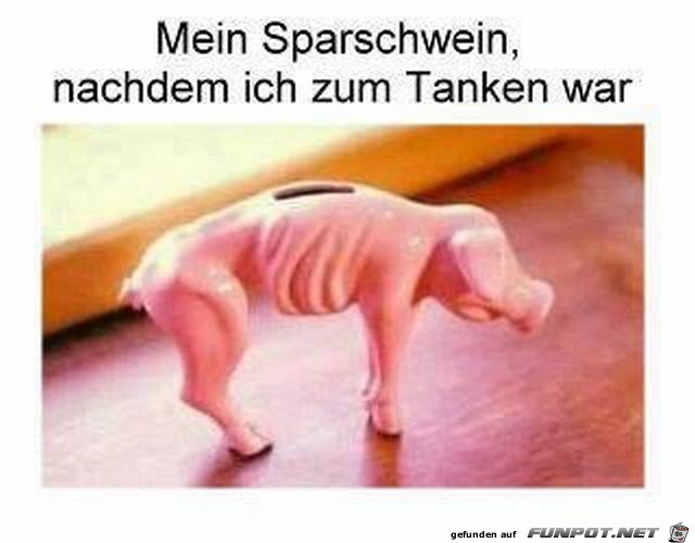 mein Sparschwein