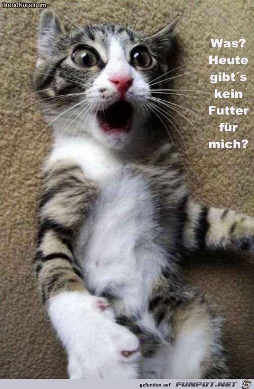 Was? Heute gibt's kein...