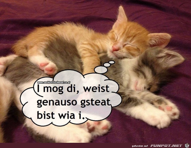 I mog di I mog di