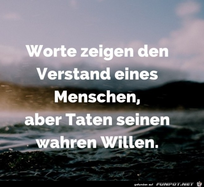 worte-zeigen-den-verstand-