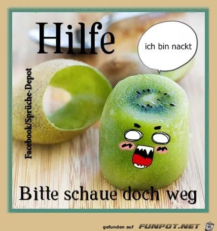 witzige Bilder aus verschiedenen Blogs