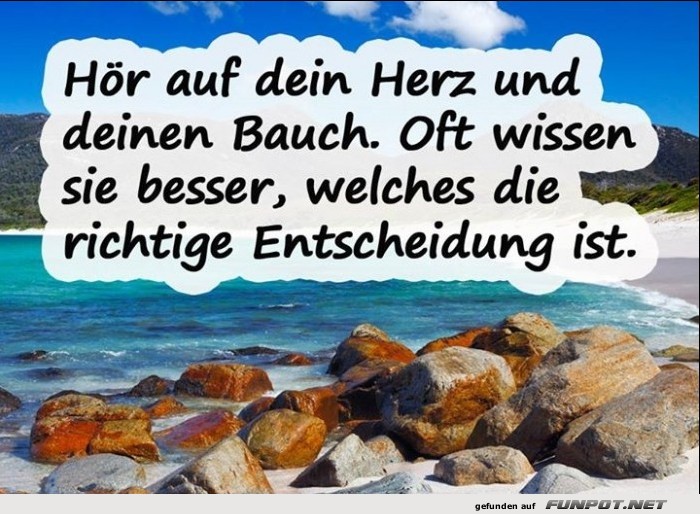10 sch�ne Spr�che und Lebensweisheiten aus...