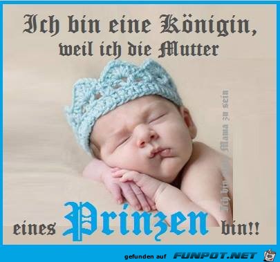 Prinz Prinz