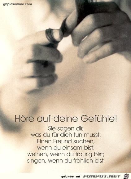 Hoere auf deine Gefuehle Hoere auf deine Gefuehle