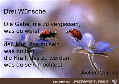 drei Wuensche