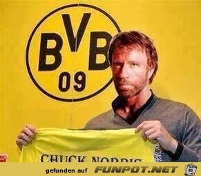 Bvb wills wissen Bvb wills wissen