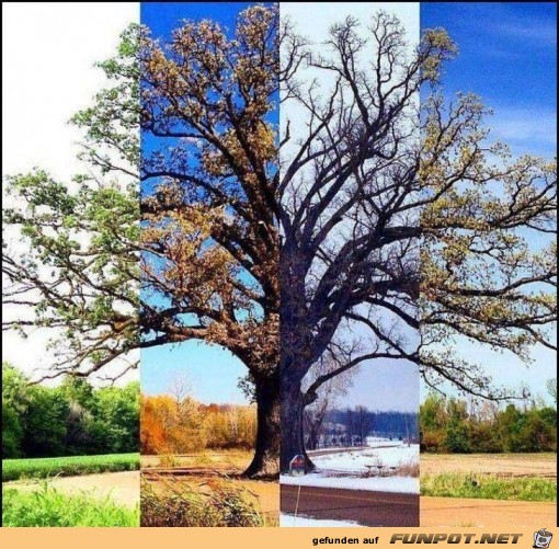 4 jahreszeiten 4 jahreszeiten