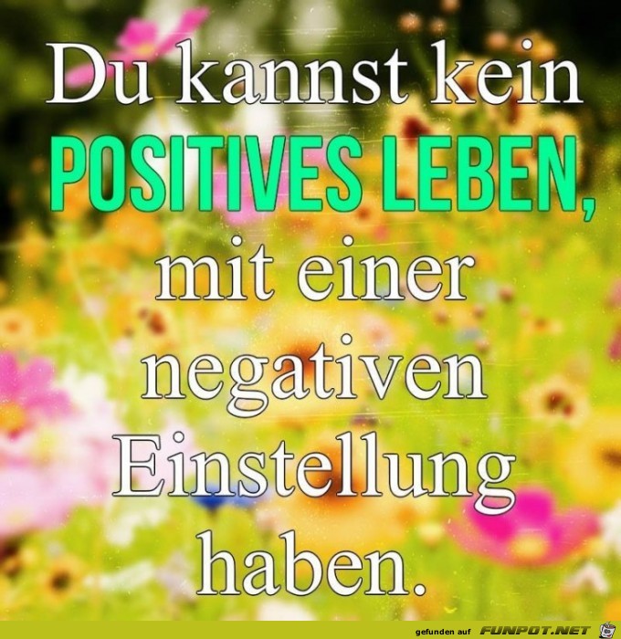 Positives Leben