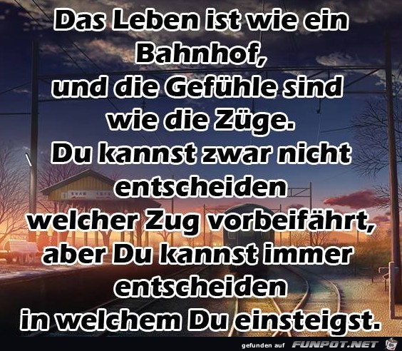 Das Leben ist wie